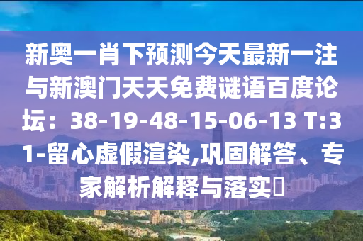 新奥一肖下预测今天最新一注与新澳门天天免费谜语百度论坛：38-19-48-15-06-13 T:31-留心虚假渲染,巩固解答、专家解析解释与落实​