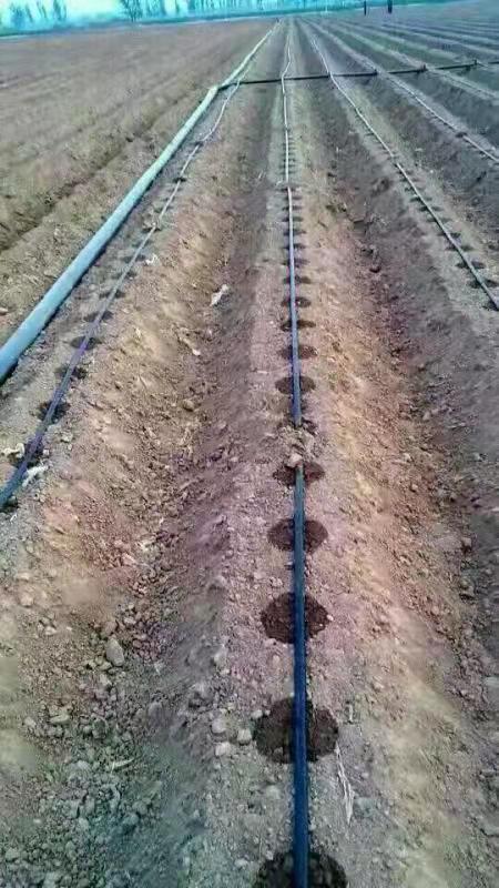 貼（tiē）片式滴灌（guàn）帶