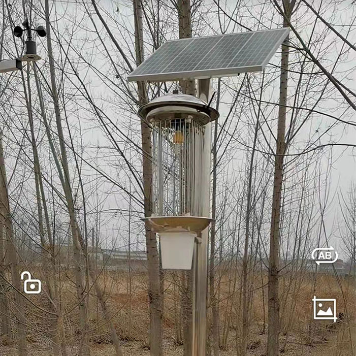 虫情监测灭虫灯