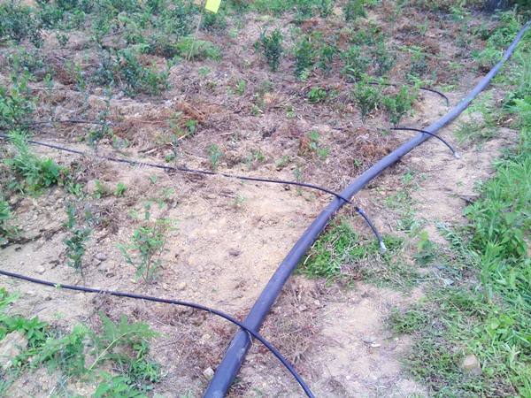 案例展（zhǎn）示