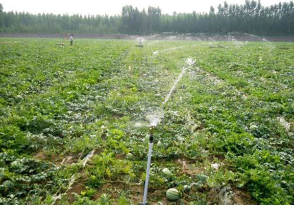 案（àn）例展示（shì）