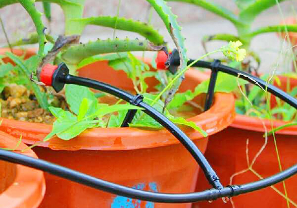 案例展示（shì）