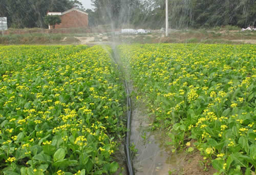 案例（lì）展示