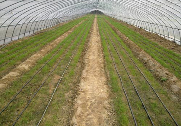 案（àn）例（lì）展示