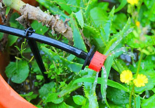 案例展（zhǎn）示