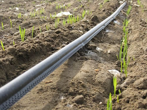 案例（lì）展示