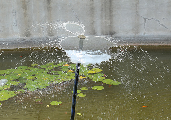 案（àn）例展示