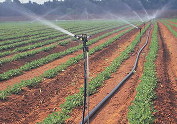 案例（lì）展示