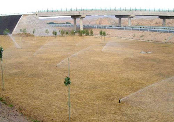 案例展（zhǎn）示