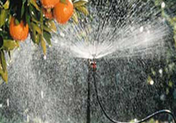 案（àn）例展（zhǎn）示