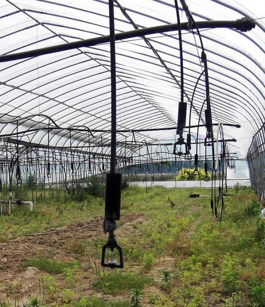 案（àn）例展（zhǎn）示