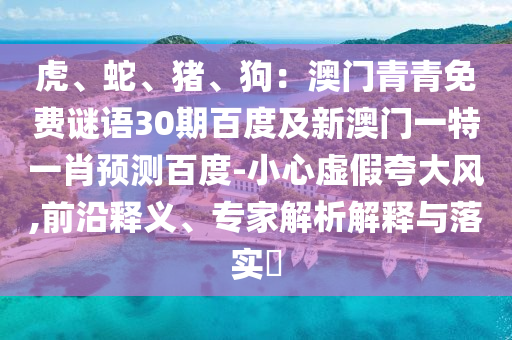 虎、蛇、猪、狗：澳门青青免费谜语30期百度及新澳门一特一肖预测百度-小心虚假夸大风,前沿释义、专家解析解释与落实​